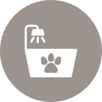 Pamper Fido in the pet spa
